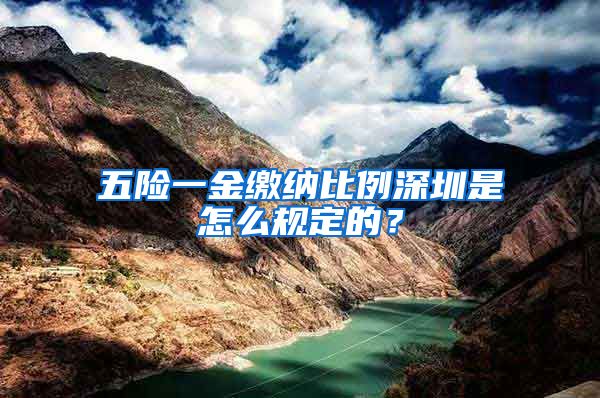五险一金缴纳比例深圳是怎么规定的？