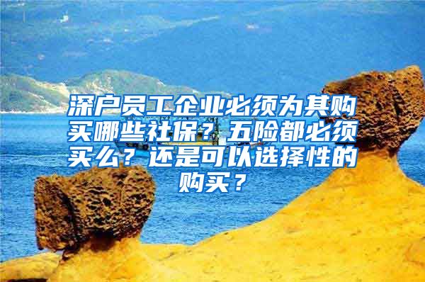 深户员工企业必须为其购买哪些社保？五险都必须买么？还是可以选择性的购买？