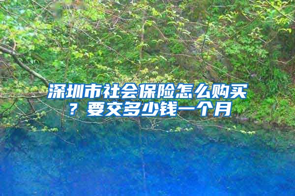 深圳市社会保险怎么购买？要交多少钱一个月