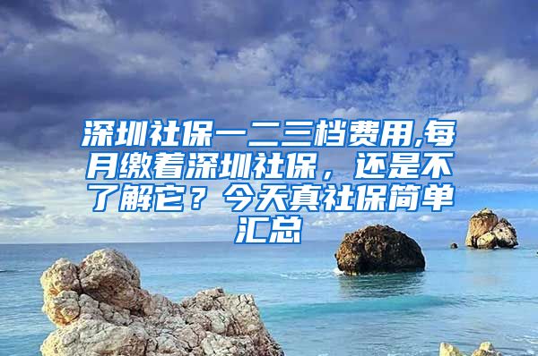 深圳社保一二三档费用,每月缴着深圳社保，还是不了解它？今天真社保简单汇总