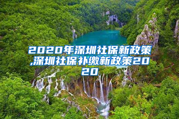 2020年深圳社保新政策,深圳社保补缴新政策2020