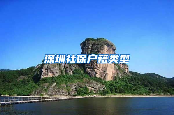深圳社保户籍类型