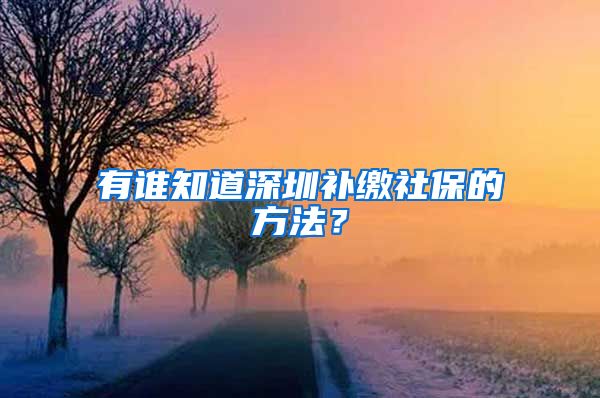 有谁知道深圳补缴社保的方法？