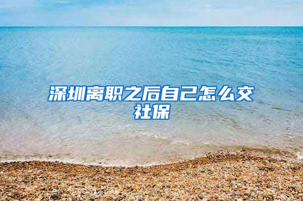 深圳离职之后自己怎么交社保
