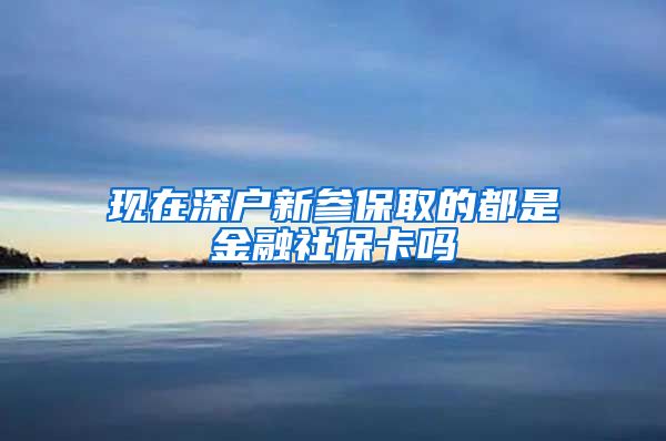 现在深户新参保取的都是金融社保卡吗