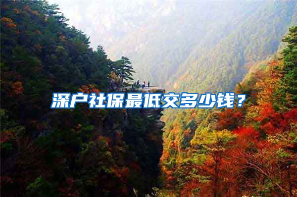 深户社保最低交多少钱？