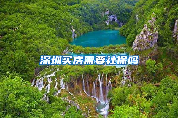 深圳买房需要社保吗
