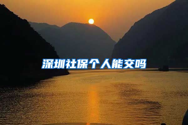 深圳社保个人能交吗