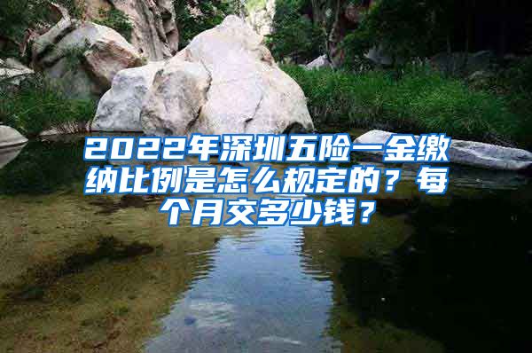 2022年深圳五险一金缴纳比例是怎么规定的？每个月交多少钱？