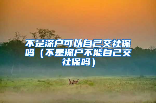 不是深户可以自己交社保吗（不是深户不能自己交社保吗）