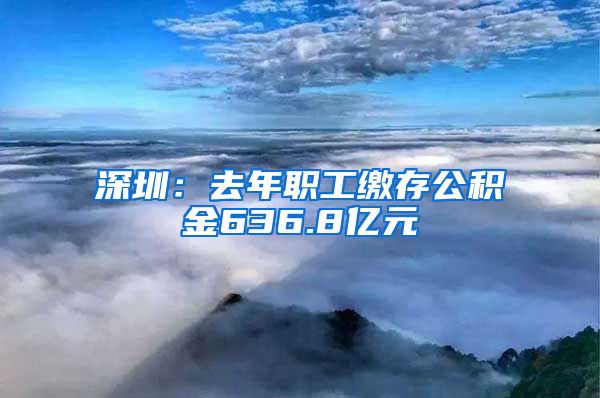 深圳：去年职工缴存公积金636.8亿元