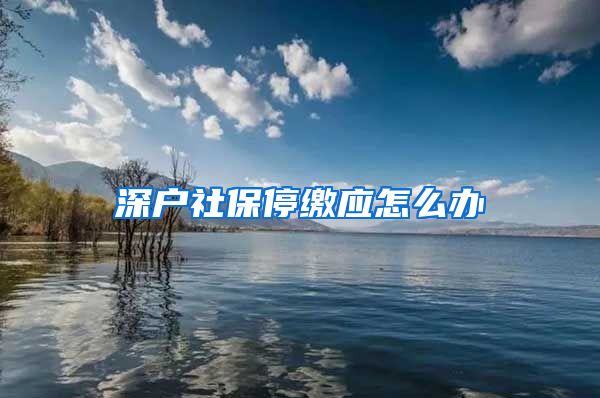 深户社保停缴应怎么办