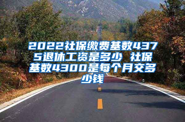 2022社保缴费基数4375退休工资是多少 社保基数4300是每个月交多少钱