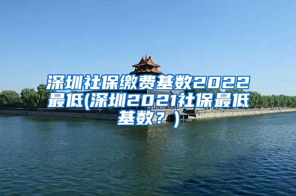 深圳社保缴费基数2022最低(深圳2021社保最低基数？)