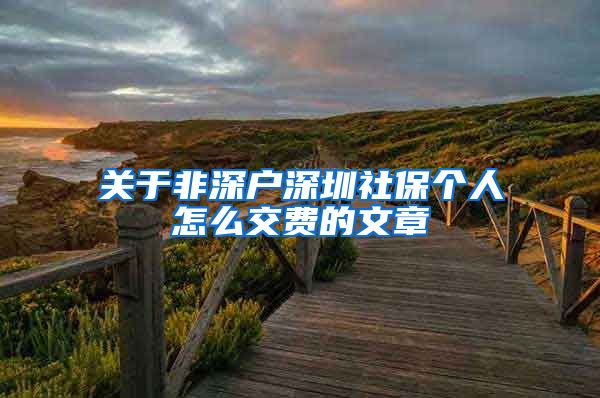 关于非深户深圳社保个人怎么交费的文章