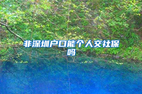 非深圳户口能个人交社保吗