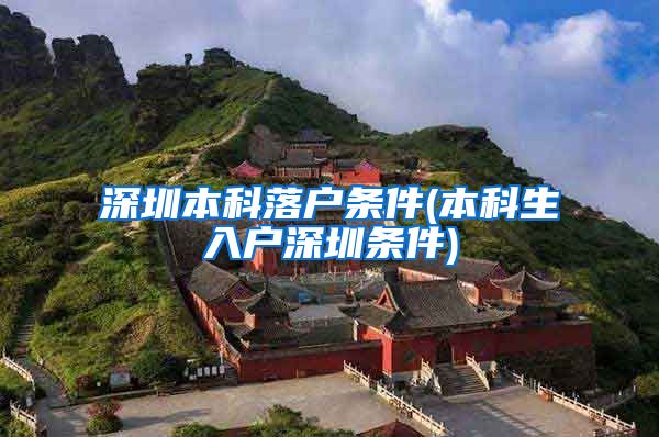深圳本科落户条件(本科生入户深圳条件)