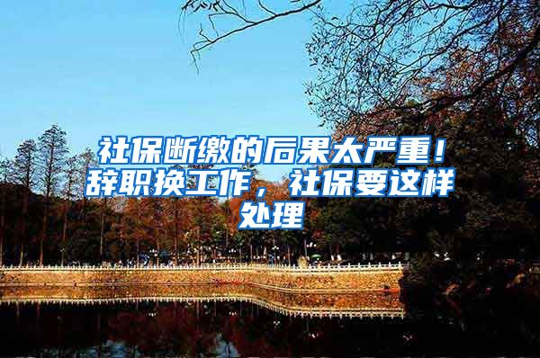 社保断缴的后果太严重！辞职换工作，社保要这样处理