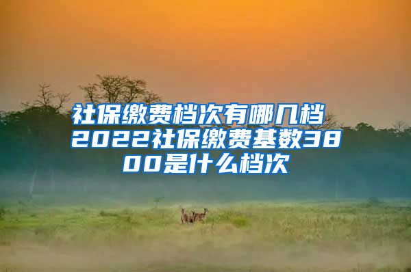社保缴费档次有哪几档 2022社保缴费基数3800是什么档次