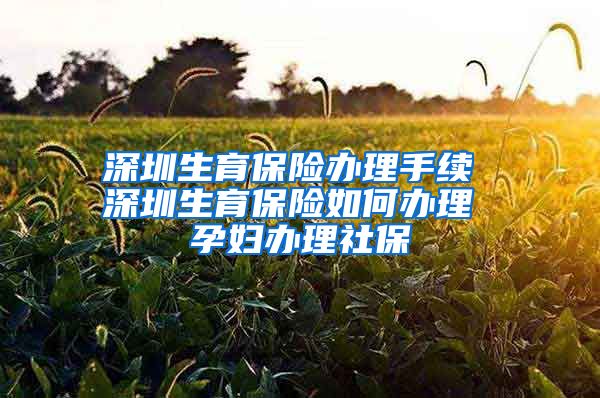 深圳生育保险办理手续 深圳生育保险如何办理 孕妇办理社保