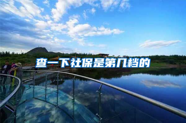查一下社保是第几档的