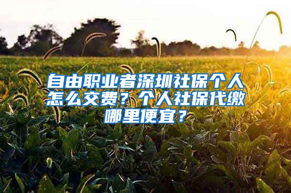 自由职业者深圳社保个人怎么交费？个人社保代缴哪里便宜？