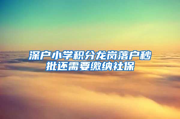 深户小学积分龙岗落户秒批还需要缴纳社保