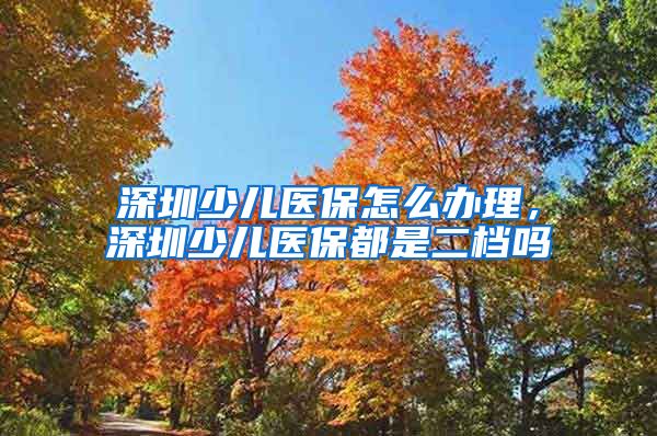 深圳少儿医保怎么办理，深圳少儿医保都是二档吗