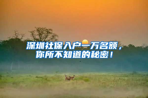 深圳社保入户一万名额，你所不知道的秘密！