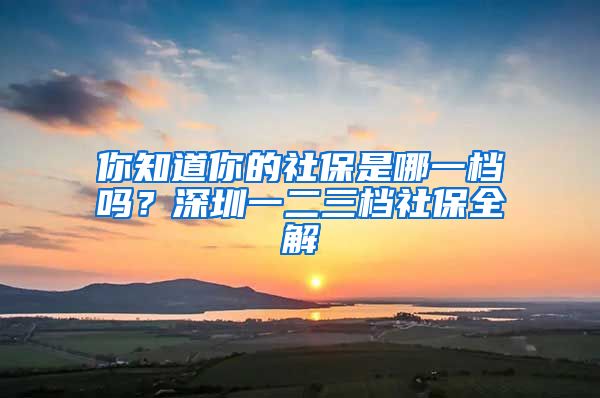你知道你的社保是哪一档吗？深圳一二三档社保全解