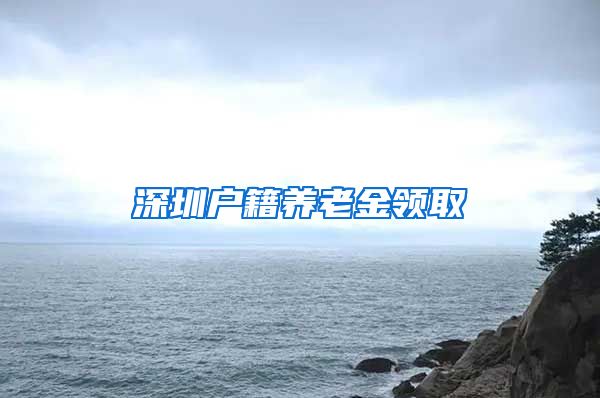 深圳户籍养老金领取