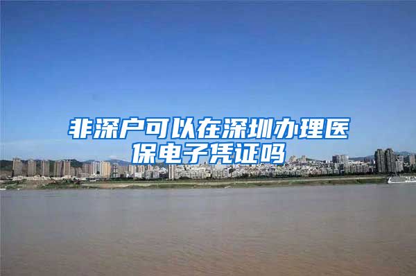 非深户可以在深圳办理医保电子凭证吗