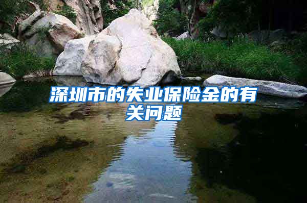 深圳市的失业保险金的有关问题