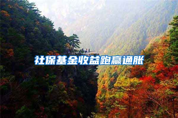 社保基金收益跑赢通胀