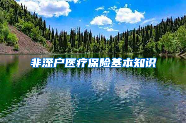非深户医疗保险基本知识