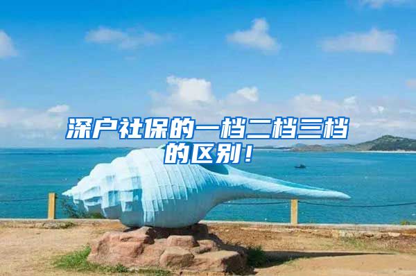 深户社保的一档二档三档的区别！
