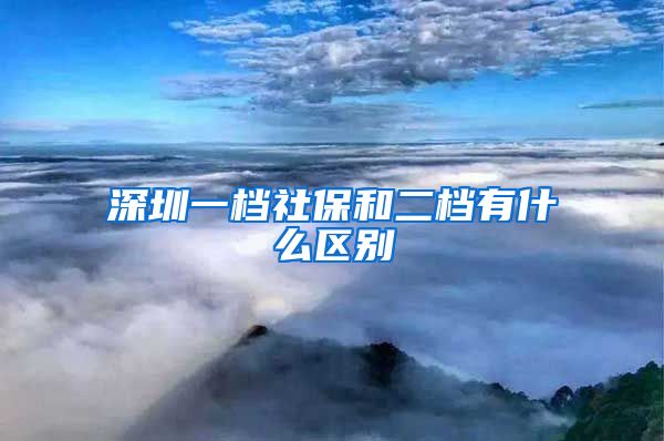 深圳一档社保和二档有什么区别
