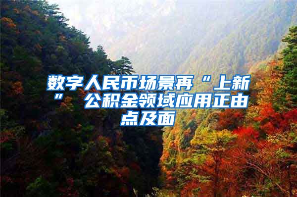 数字人民币场景再“上新” 公积金领域应用正由点及面