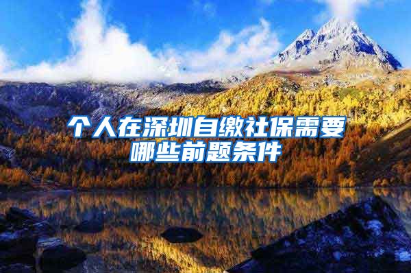 个人在深圳自缴社保需要哪些前题条件