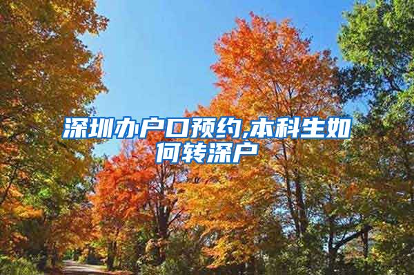 深圳办户口预约,本科生如何转深户