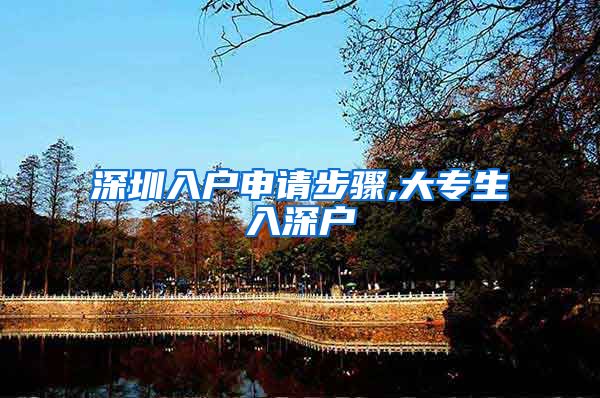深圳入户申请步骤,大专生入深户