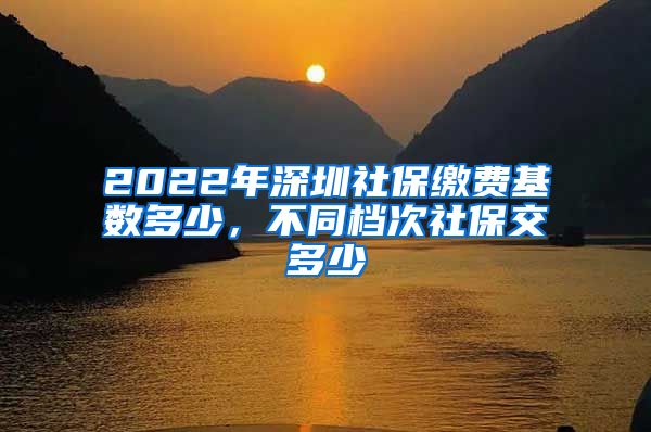 2022年深圳社保缴费基数多少，不同档次社保交多少