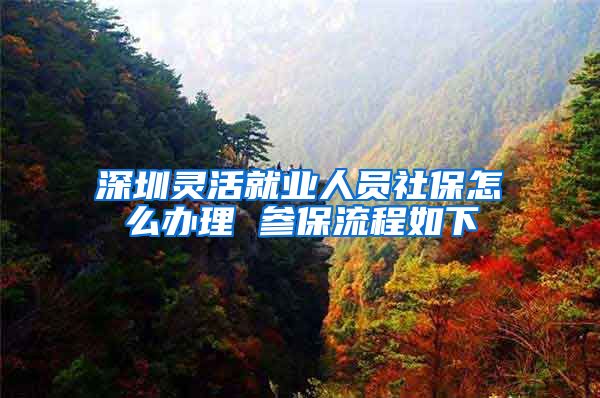 深圳灵活就业人员社保怎么办理 参保流程如下