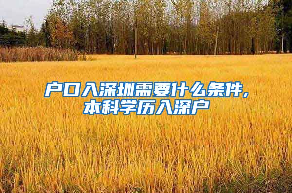 户口入深圳需要什么条件,本科学历入深户