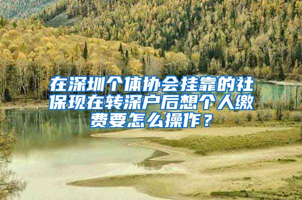 在深圳个体协会挂靠的社保现在转深户后想个人缴费要怎么操作？