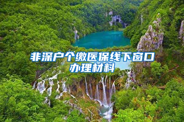 非深户个缴医保线下窗口办理材料