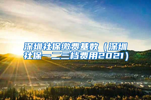 深圳社保缴费基数（深圳社保一二三档费用2021）