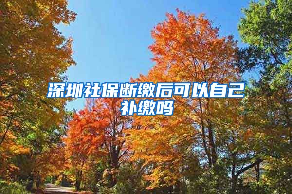 深圳社保断缴后可以自己补缴吗
