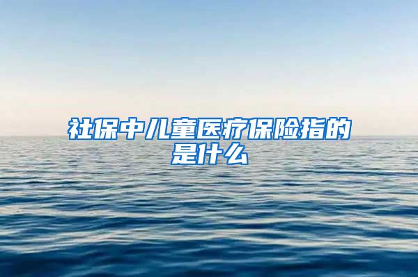 社保中儿童医疗保险指的是什么