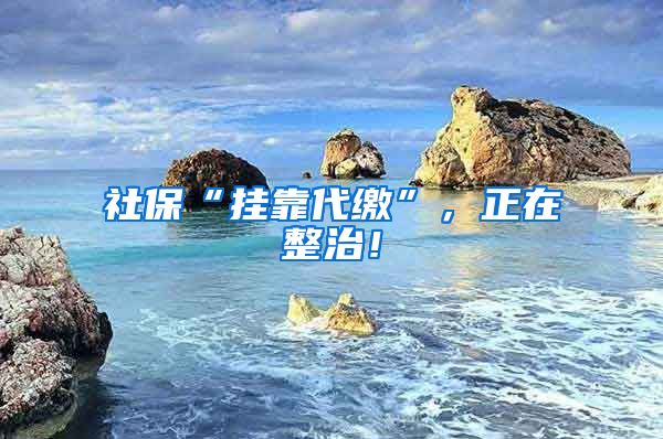 社保“挂靠代缴”，正在整治！